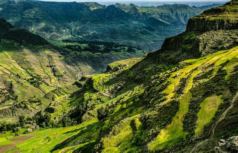  Quintessential Gardening Techniques for the Ethiopian Highlands - Unveiling Ancient Wisdom Through Verdant Hues!